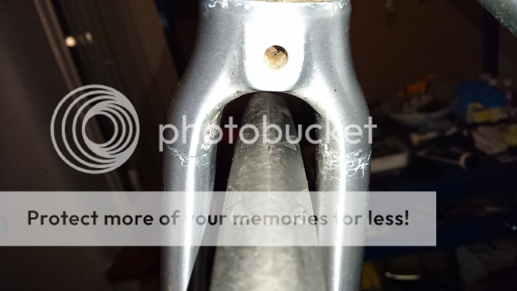 ridgeback genesis day 01